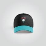 Arizona Diamondbacks Black & Teal Performance Cap