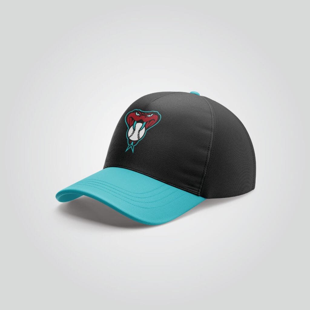 Arizona Diamondbacks Black & Teal Performance Cap