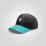 Arizona Diamondbacks Black & Teal Performance Cap